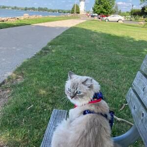 Meet your Posher, Kenzo